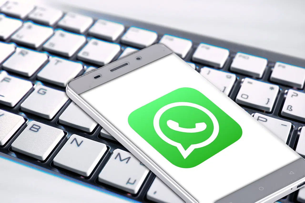 Chatbot WhatsApp