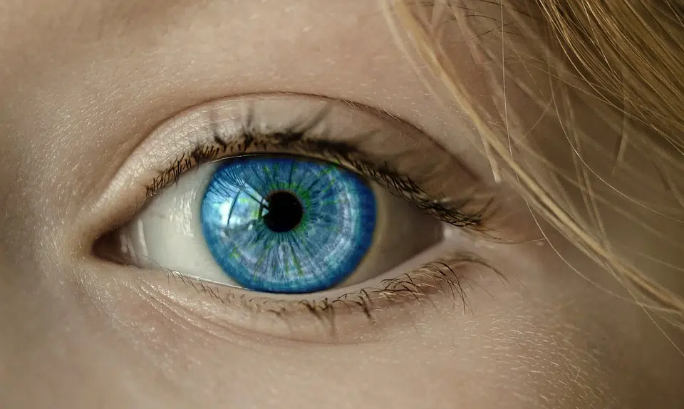 Minnesota : un œil bionique imprimé en 3D