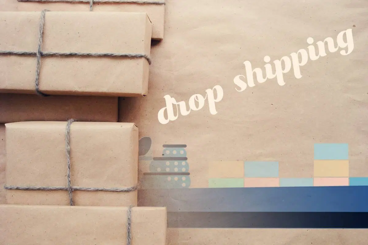 Pourquoi faire une formation en dropshipping ?